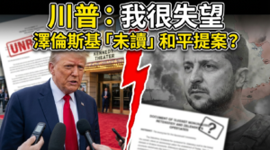 trump zelenskyy russia ukraine peace plan disappointment 2025