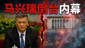 ma xingrui downfall inside story