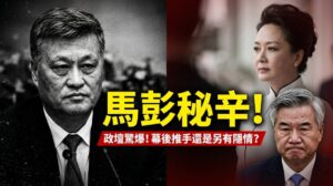ma xingrui downfall peng liyuan li xi