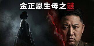 金正恩生母高英姬之謎縮圖：左側為身穿韓服的高英姬黑色剪影，右側為朝鮮最高領導人金正恩肖像，中央以紅色裂痕分隔，象徵被朝鮮政權刻意抹除的母系血統秘史。