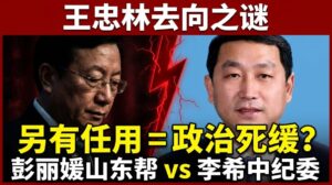 王忠林卸任湖北省委書記與接任者關志鷗對比分析圖，揭密「另有任用」背後的彭麗媛山東幫與李希中紀委派系大博弈