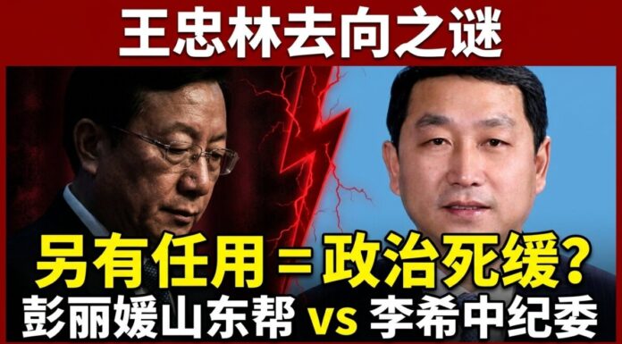 王忠林卸任湖北省委書記與接任者關志鷗對比分析圖，揭密「另有任用」背後的彭麗媛山東幫與李希中紀委派系大博弈