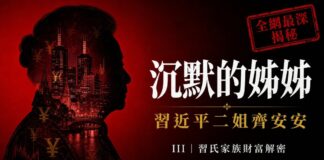 【習氏家族財富解密 III】齊安安:軍方姻親、新郵通信、深圳大唐與哈德森基金——習家最隱秘的一條暗線 習近平二姐齊安安主視覺:年長女性盤髮側臉剪影內填充澳洲墨爾本夜景天際線與飄散的人民幣符號,背景中國紅,右上角金色印章「全網最深揭秘」,標題「沉默的姊姊·習近平二姐齊安安」,習氏家族財富解密第三章