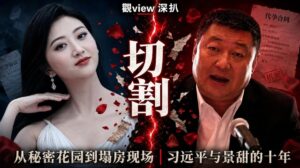 習遠平與景甜的十年切割：從中南海秘密花園到代孕風波塌房現場深度解析